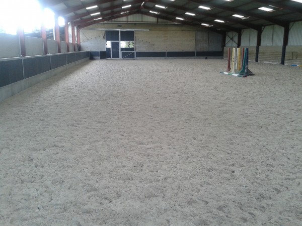 Manege équestre interieur